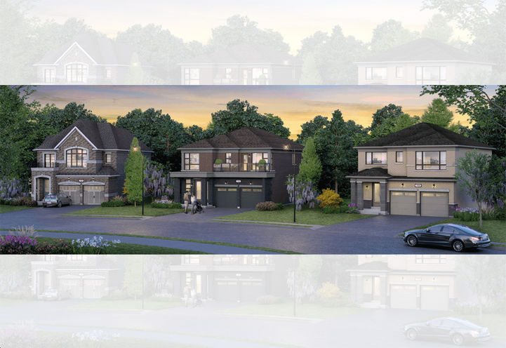 Heartland Homes Streetscape View of Detached Models