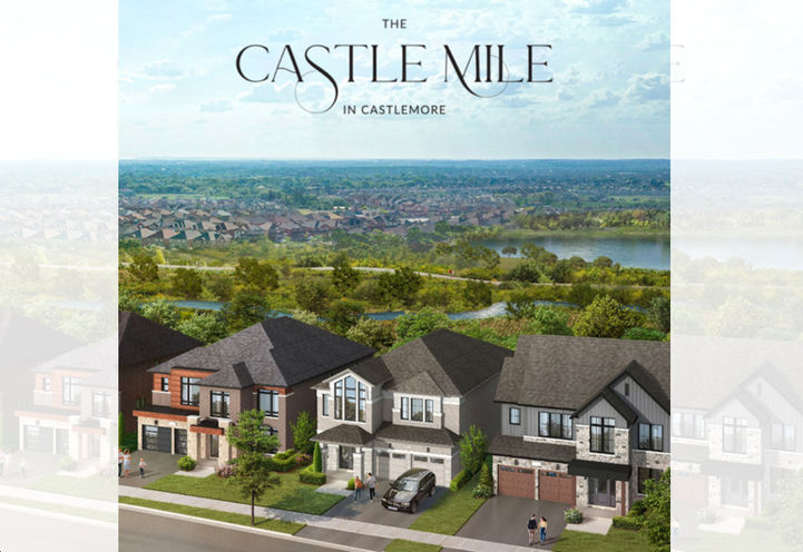 The Castle Mile Homes Aerial View of Detached Homes